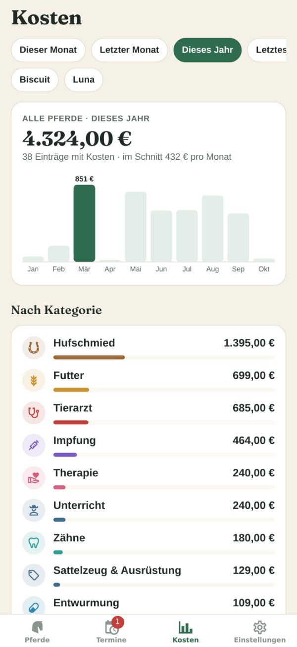 Kosten: die Summe dieses Jahres, ein Diagramm nach Monat und die Ausgaben nach Kategorie