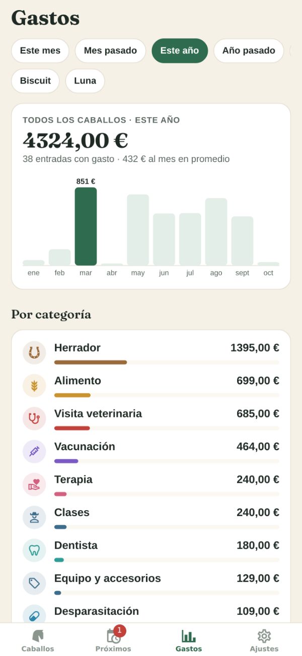 Gastos: el total de este año, un gráfico por meses y el gasto por categoría