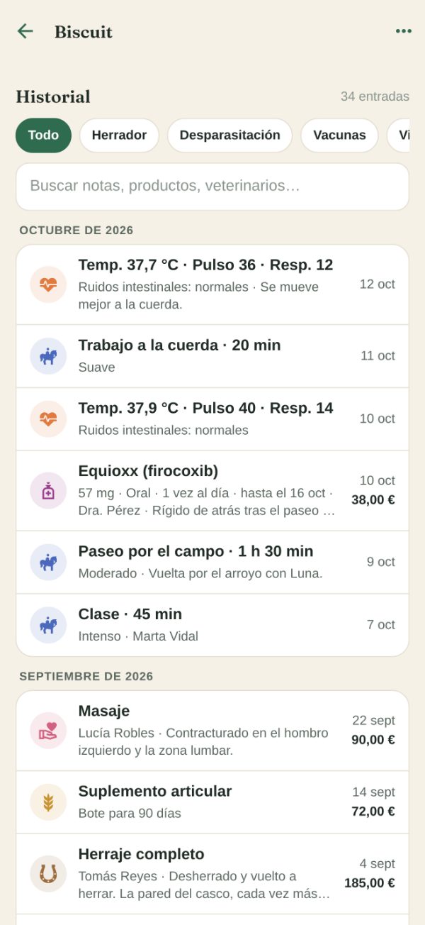 El historial de Biscuit por meses: constantes, cuerda, un tratamiento, un paseo, una clase, un masaje, un suplemento y un herraje