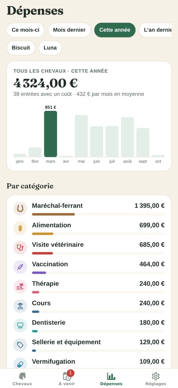 Dépenses&nbsp;: le total de l’année, un graphique par mois et les dépenses par catégorie