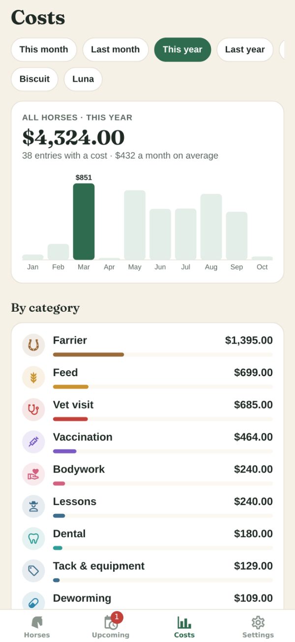 Costs: this year's total, a chart by month and spending by category