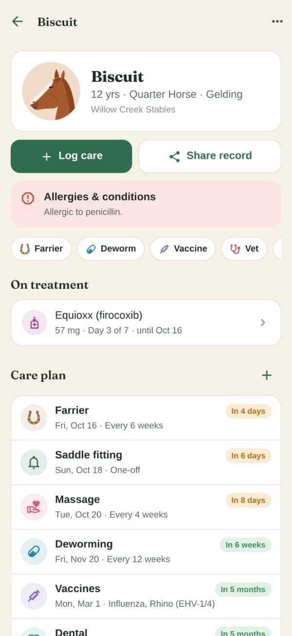 A horse's page: profile, quick log buttons and the care plan