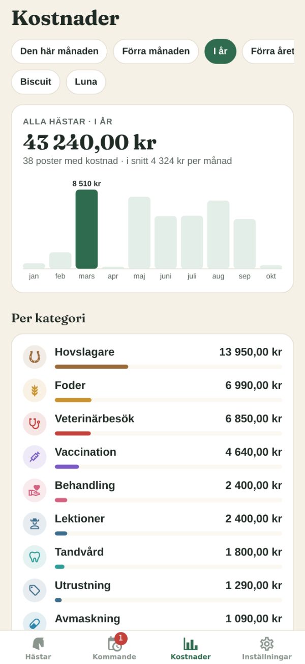 Kostnader: årets summa, ett diagram per månad och utgifterna per kategori